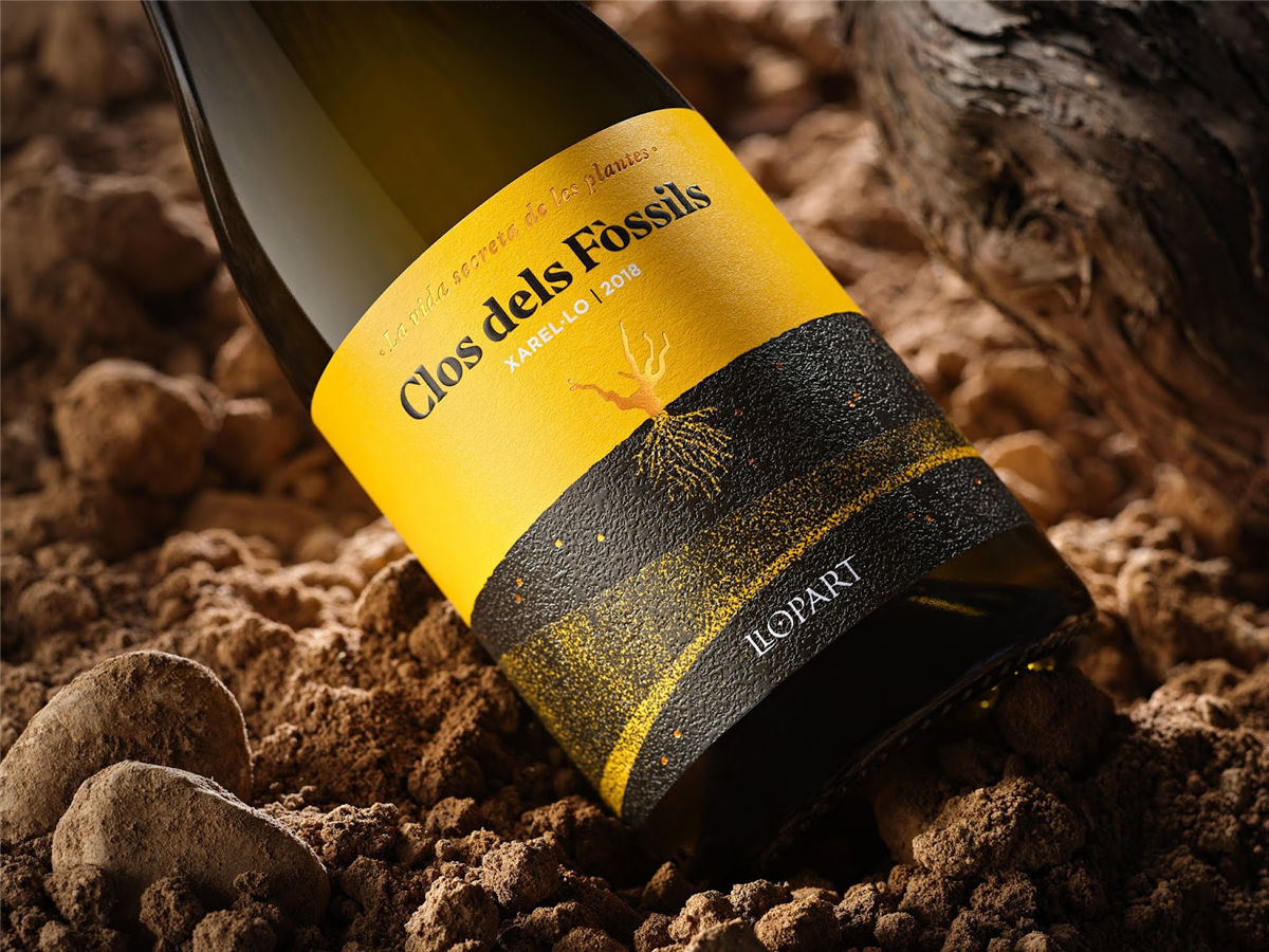 寧夏紅酒包裝設(shè)計(jì)公司推薦參考案例(圖25) 寧夏紅酒包裝設(shè)計(jì)公司推薦參考案例(圖25)