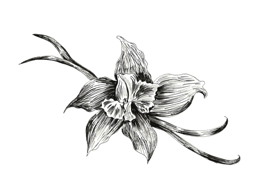 高端醬料包裝設(shè)計參考(圖3) 高端醬料包裝設(shè)計參考(圖3)