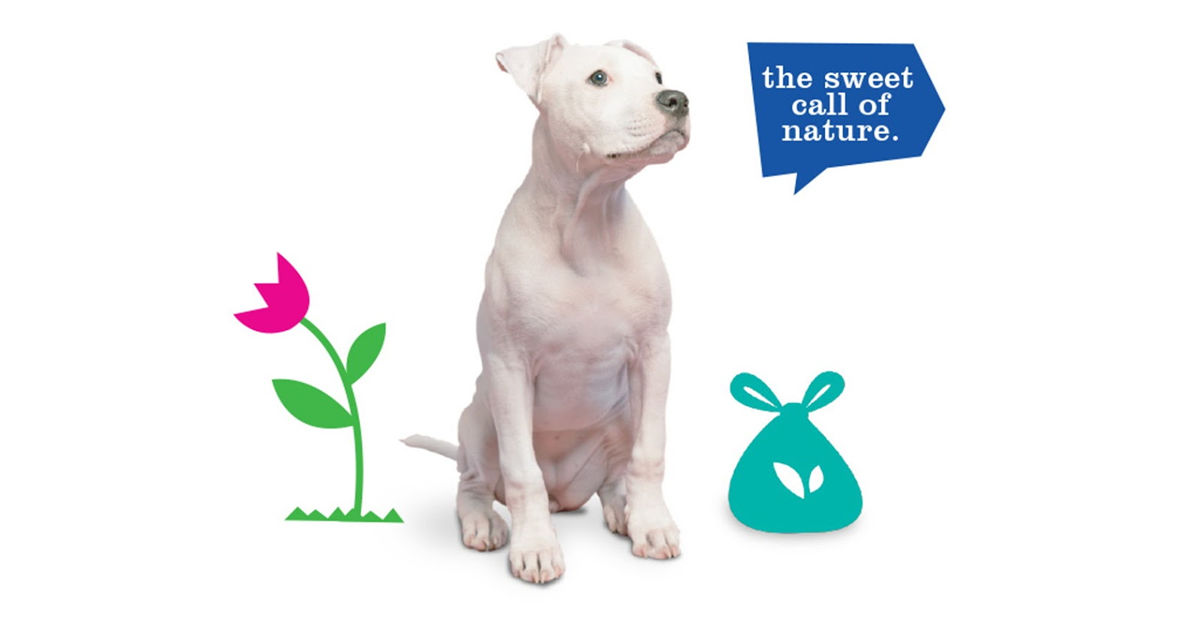 寵物包裝設計欣賞用品品牌包裝設計(圖10) 寵物包裝設計欣賞用品品牌包裝設計(圖10)