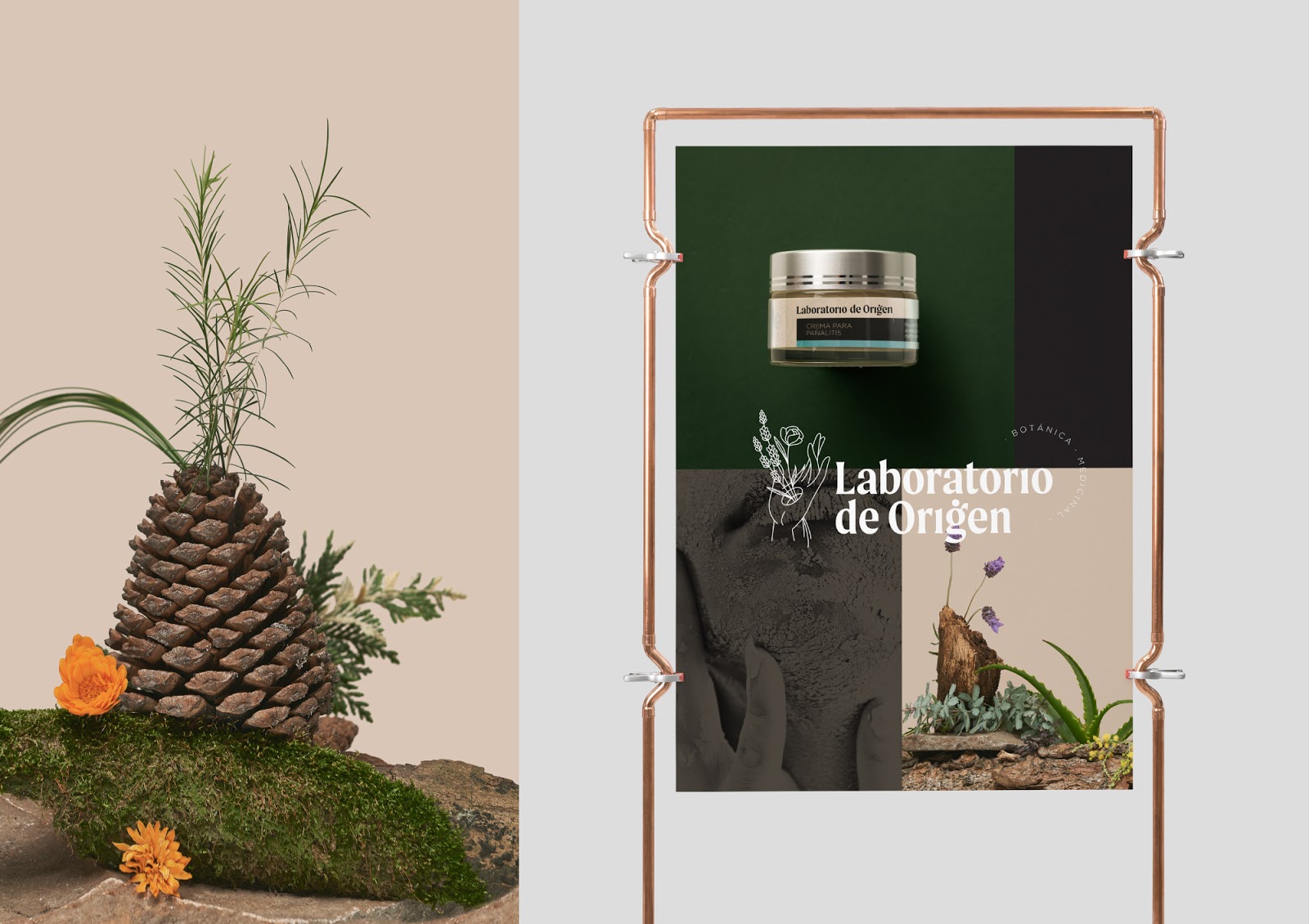 植物化妝品包裝設(shè)計(圖4) 植物化妝品包裝設(shè)計(圖4)