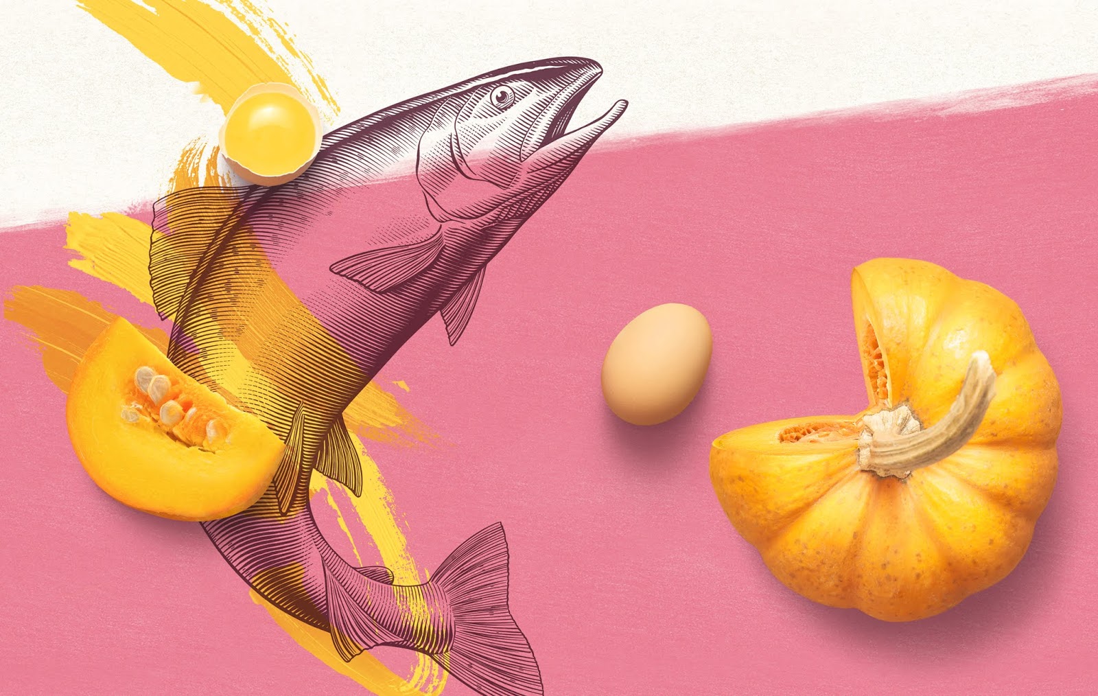 寵物包裝設(shè)計欣賞食品包裝設(shè)計理念與參考(圖6)