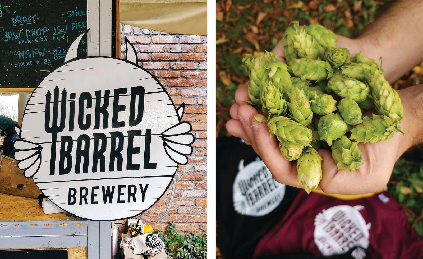 青島果酒包裝設(shè)計(圖17) 青島果酒包裝設(shè)計(圖17)