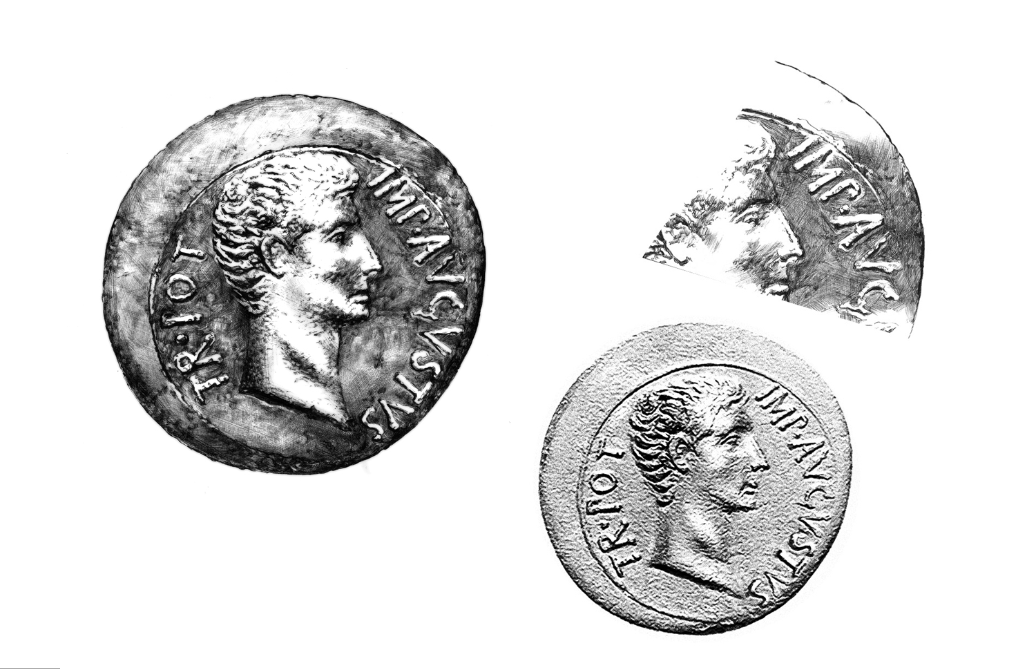 泉州紅酒包裝設計(圖3)