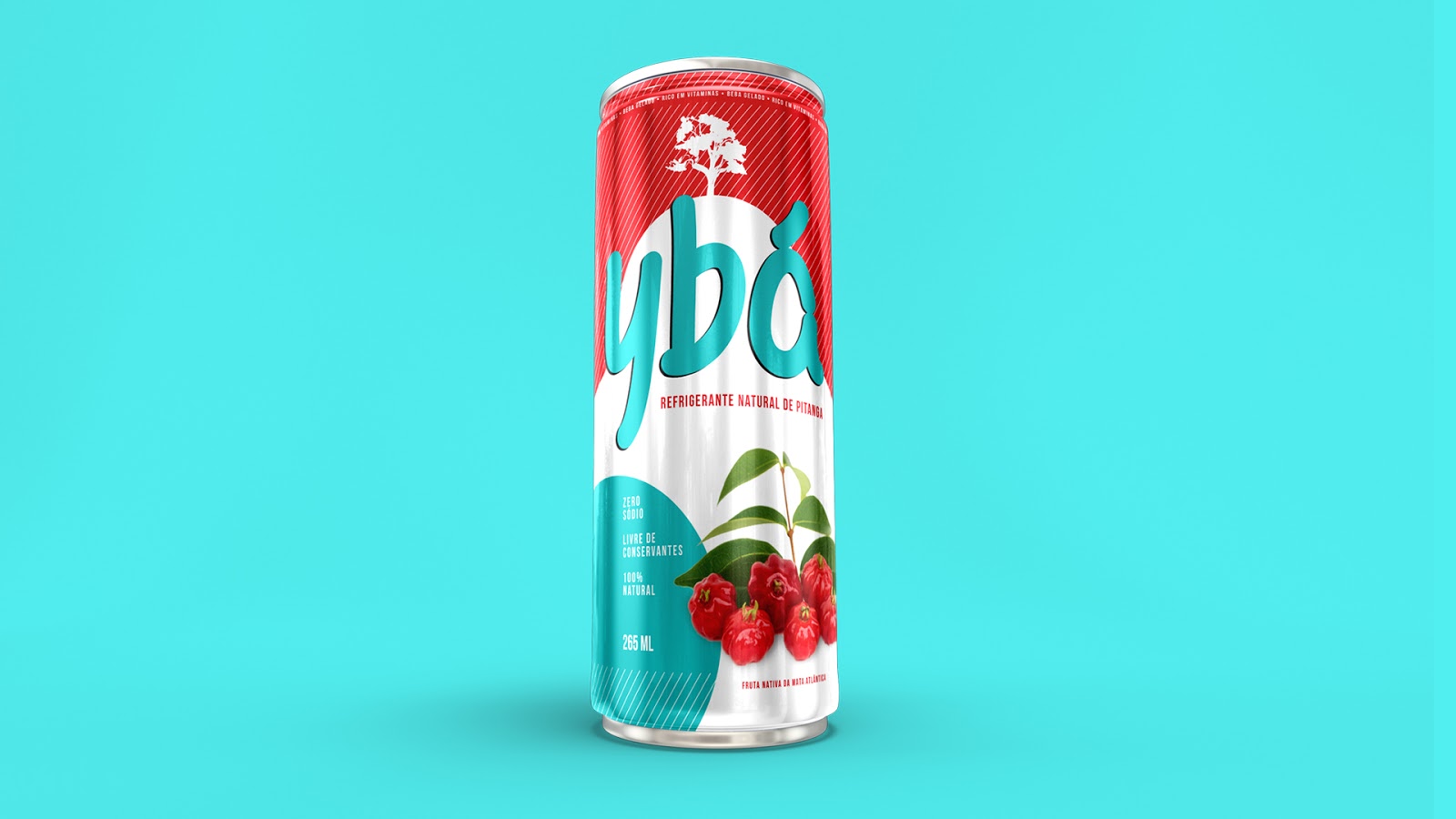 嘉興果汁品牌包裝設(shè)計(圖4)