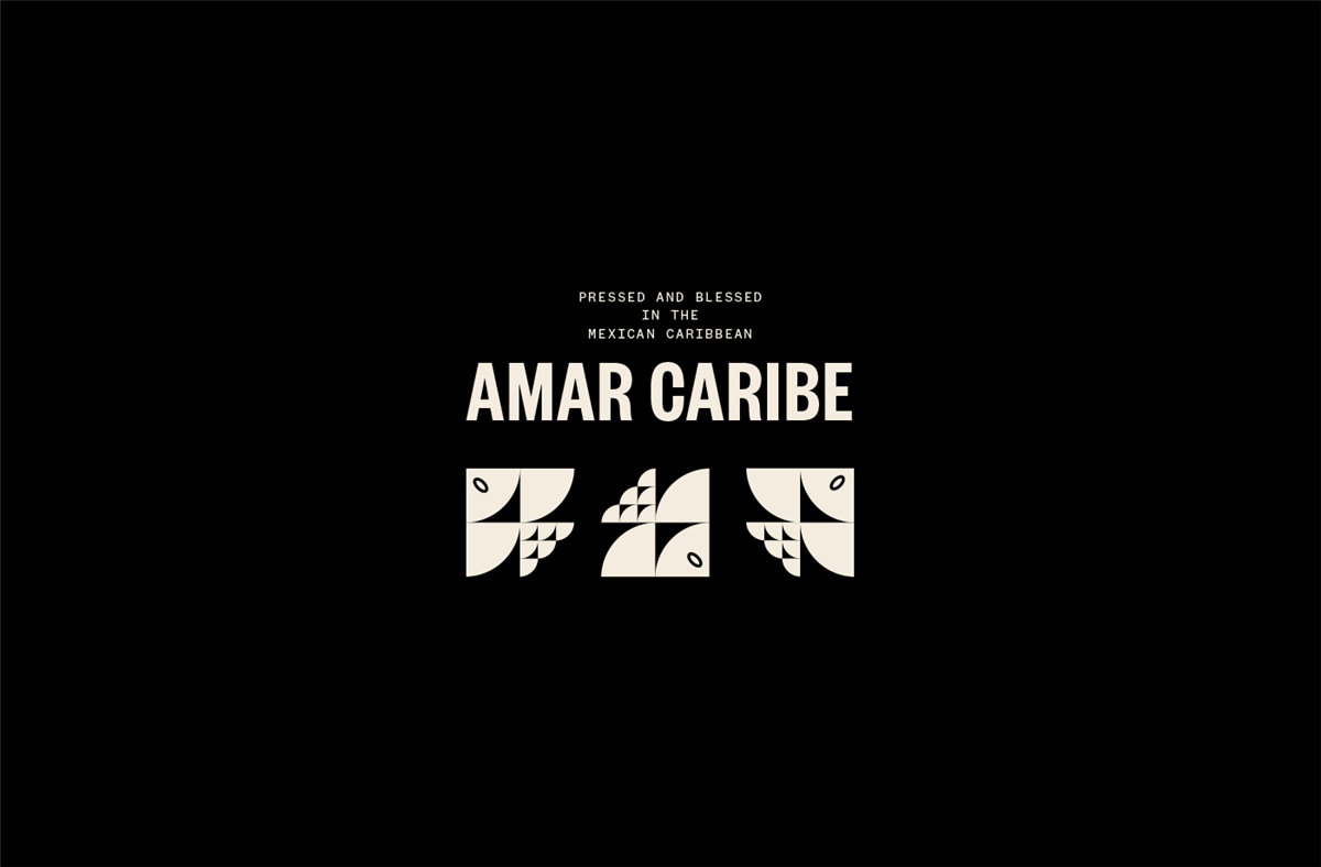 創(chuàng)意水包裝設(shè)計(jì)(圖3)