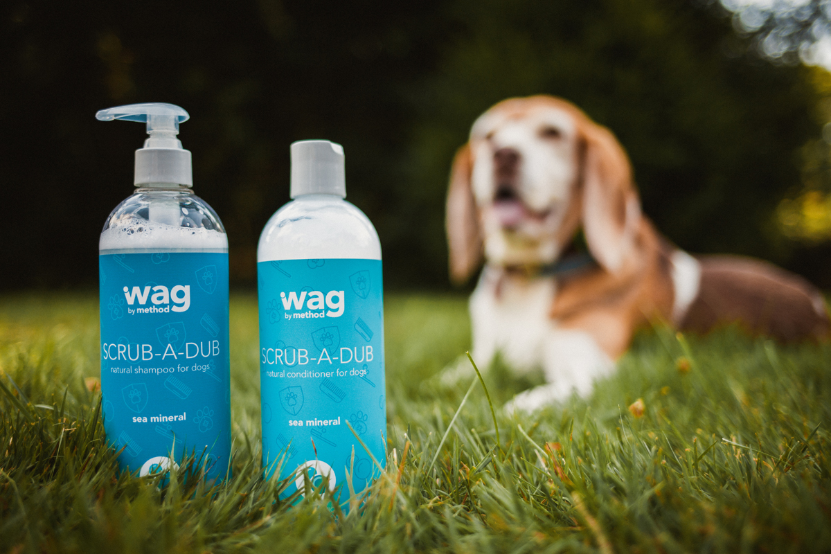 寵物包裝設(shè)計(jì)欣賞用品品牌包裝設(shè)計(jì)案例(圖1) 寵物包裝設(shè)計(jì)欣賞用品品牌包裝設(shè)計(jì)案例(圖1)