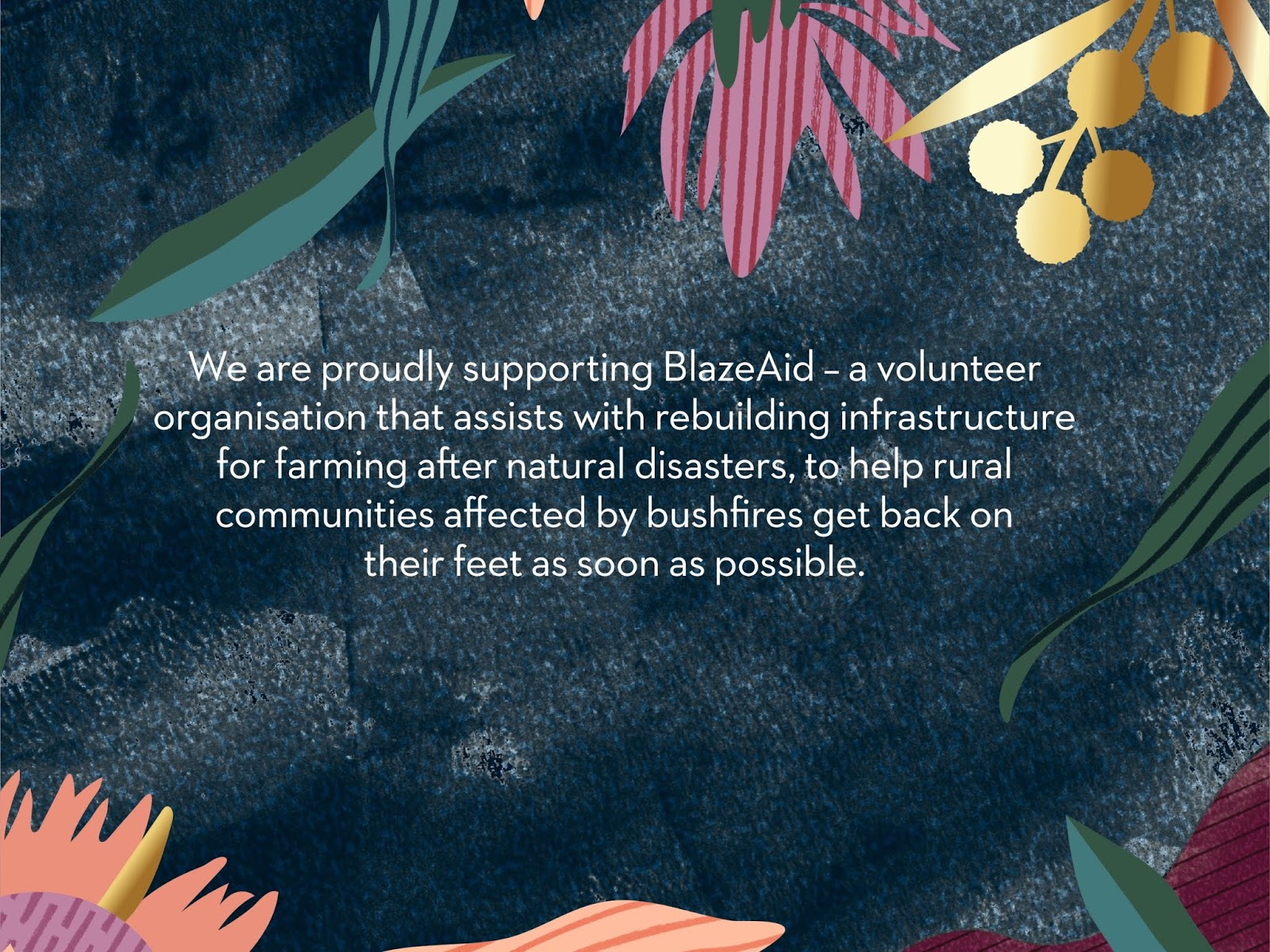 氣質(zhì)優(yōu)雅的葡萄酒包裝設(shè)計(圖2) 氣質(zhì)優(yōu)雅的葡萄酒包裝設(shè)計(圖2)