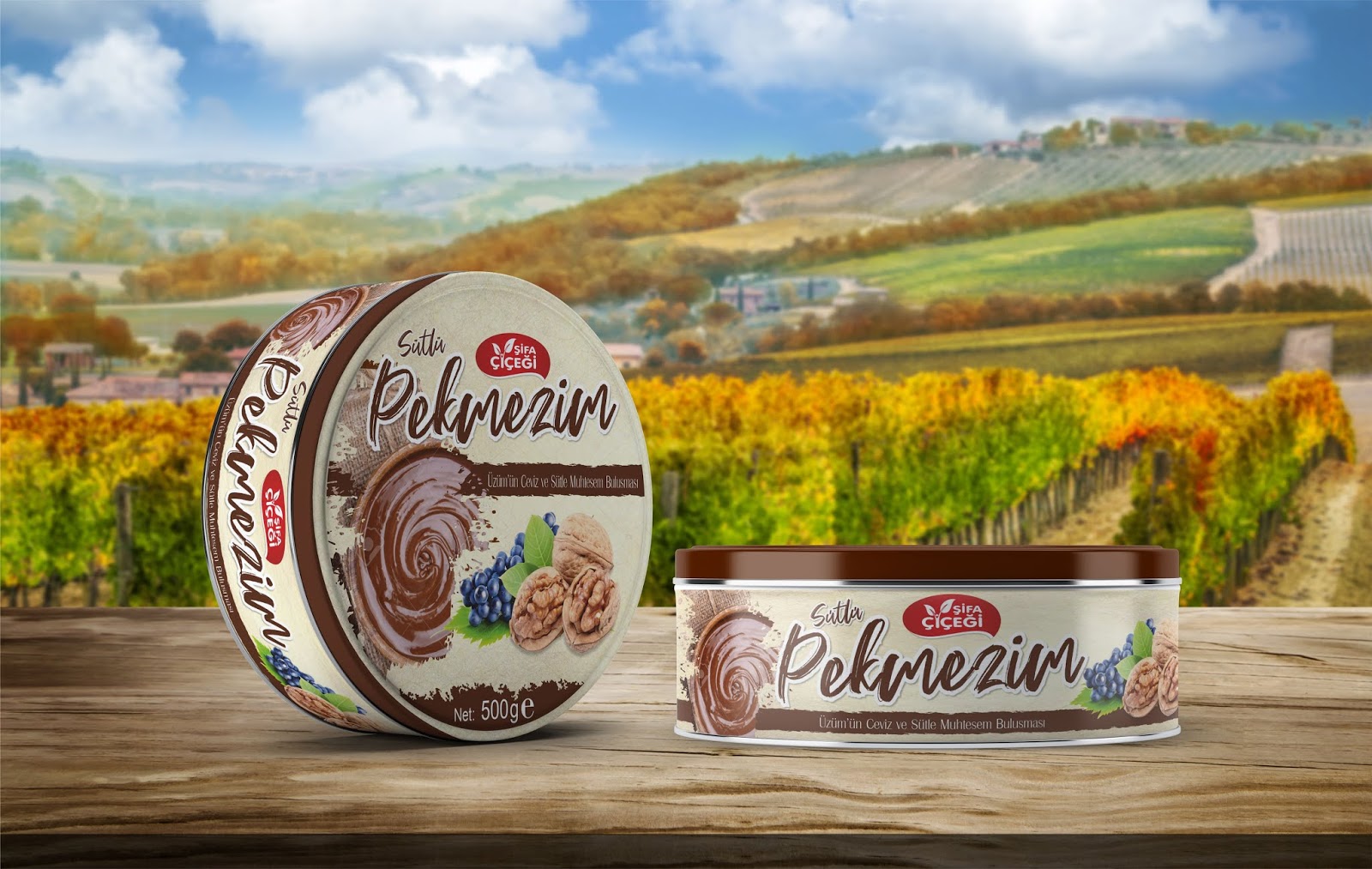 保定地方特產(chǎn)包裝設(shè)計(圖2)