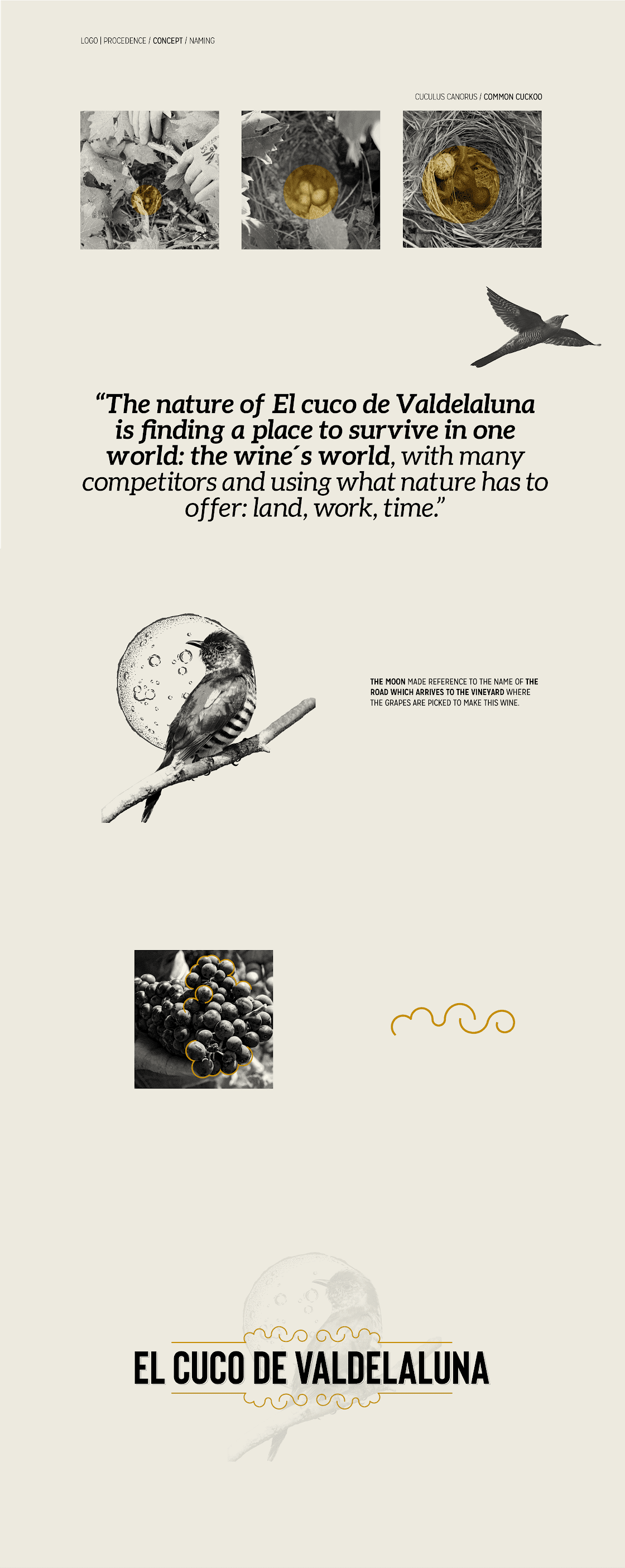 濟(jì)寧葡萄酒包裝設(shè)計(jì)簡(jiǎn)約時(shí)尚(圖2) 濟(jì)寧葡萄酒包裝設(shè)計(jì)簡(jiǎn)約時(shí)尚(圖2)