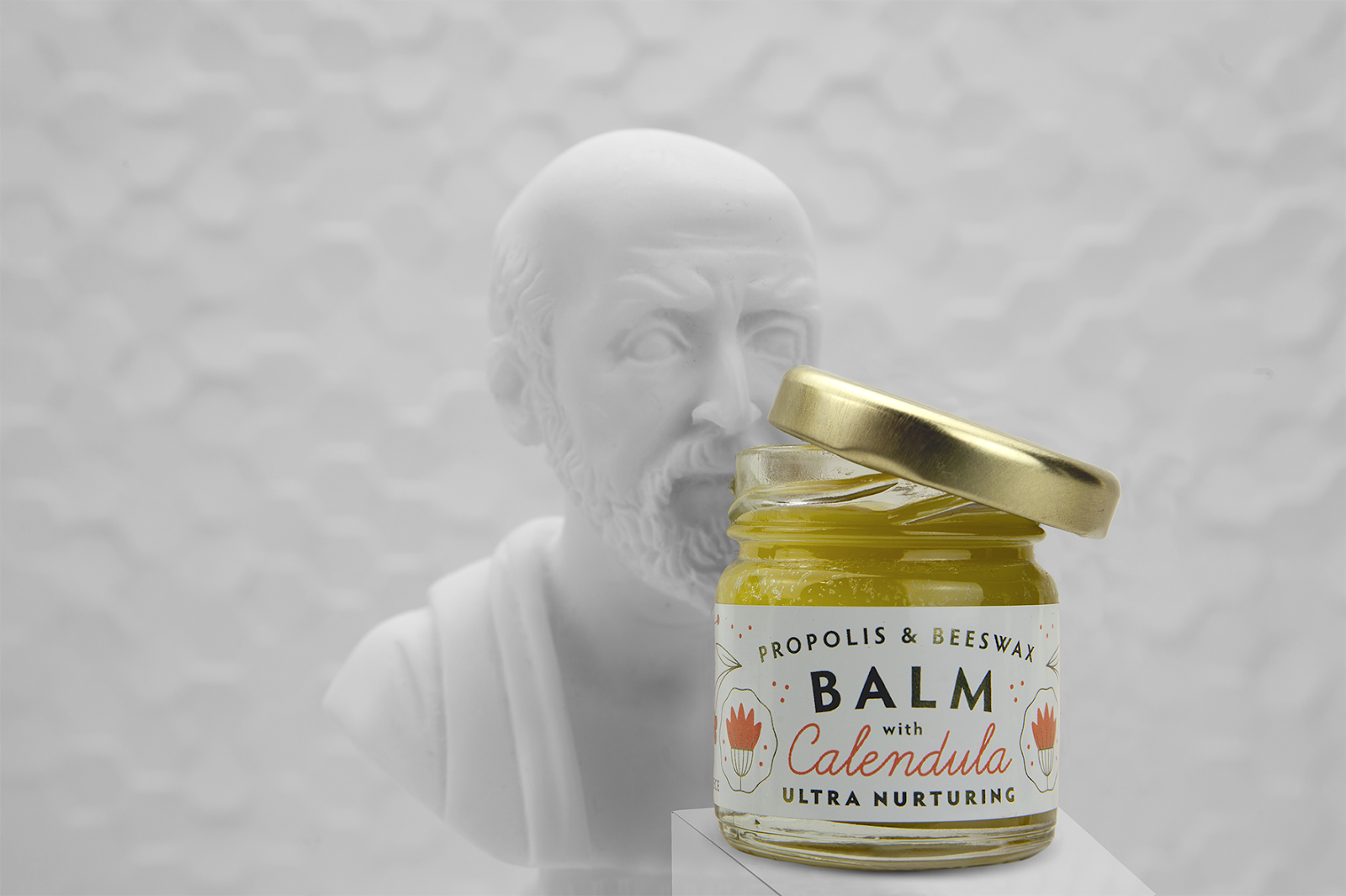 臨沂蜂蜜包裝設(shè)計欣賞(圖4) 臨沂蜂蜜包裝設(shè)計欣賞(圖4)