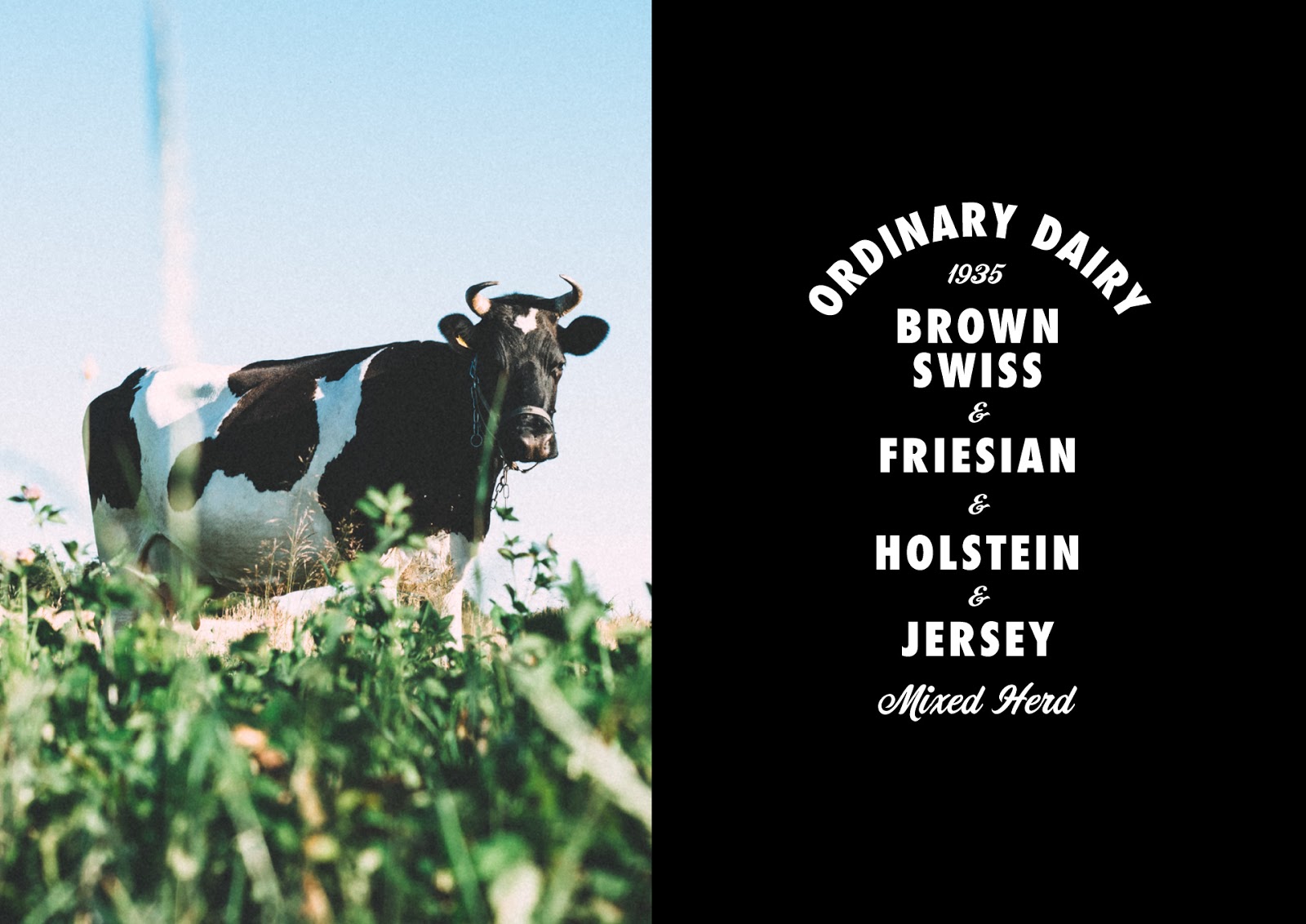 簡約牛奶包裝設(shè)計(圖4)