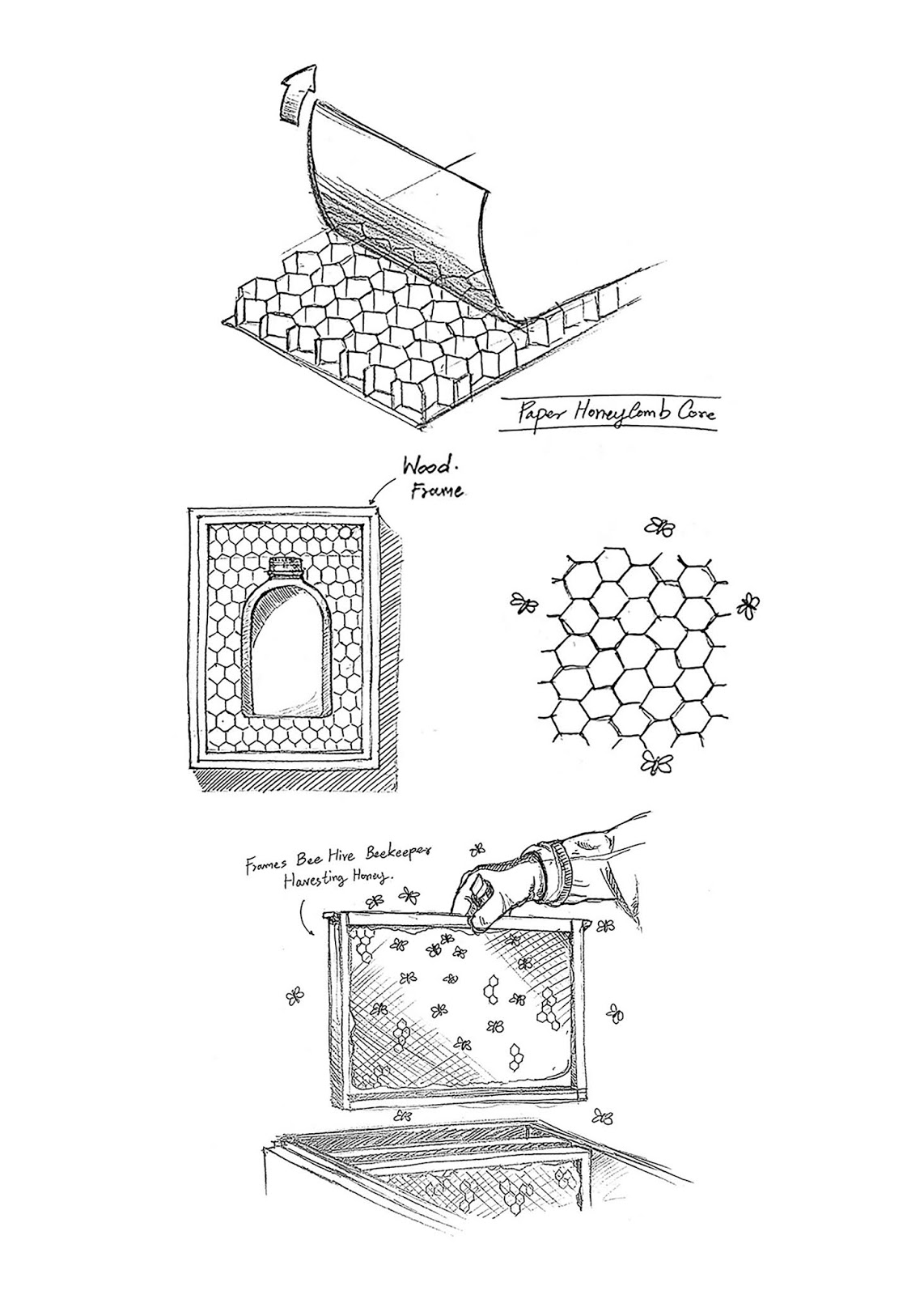 創(chuàng)意蜂蜜包裝設計(圖3) 創(chuàng)意蜂蜜包裝設計(圖3)