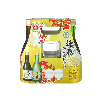 泉州啤酒飲料包裝設計(圖2)