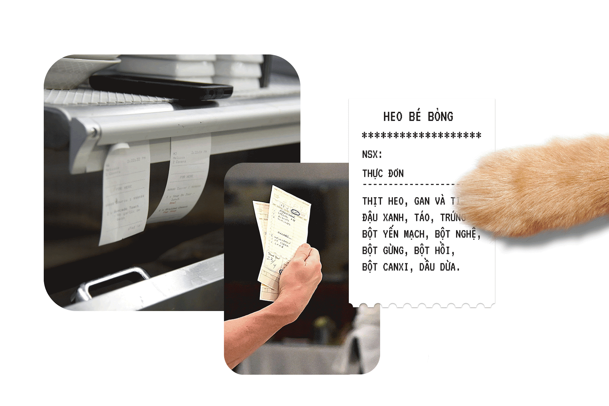 寵物包裝設(shè)計(jì)欣賞食品狗糧包裝設(shè)計(jì)欣賞貓糧包裝設(shè)計(jì)欣賞包裝設(shè)計(jì)全套(圖11) 寵物包裝設(shè)計(jì)欣賞食品狗糧包裝設(shè)計(jì)欣賞貓糧包裝設(shè)計(jì)欣賞包裝設(shè)計(jì)全套(圖11)