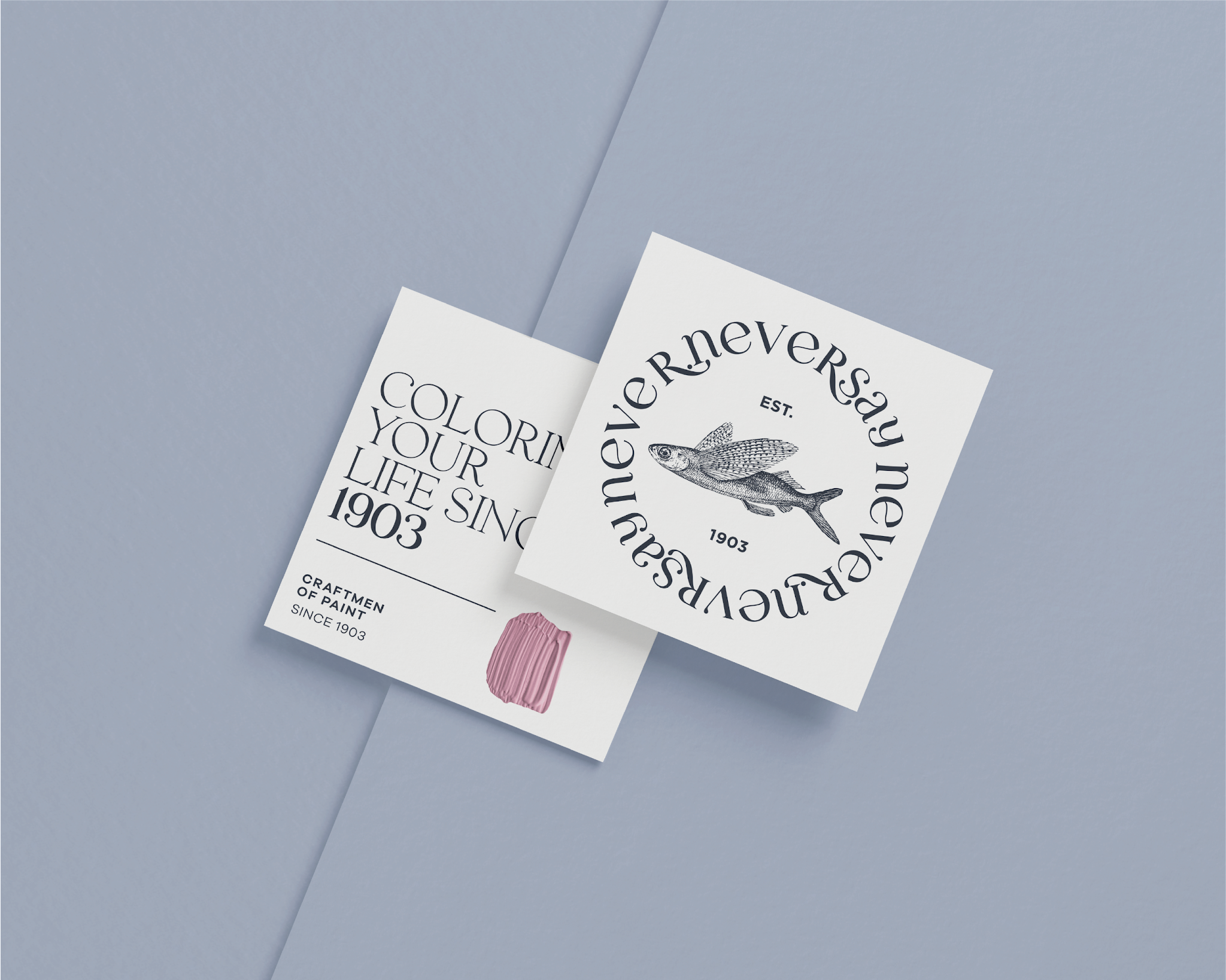 眼影護膚品化妝品包裝設計(圖1)