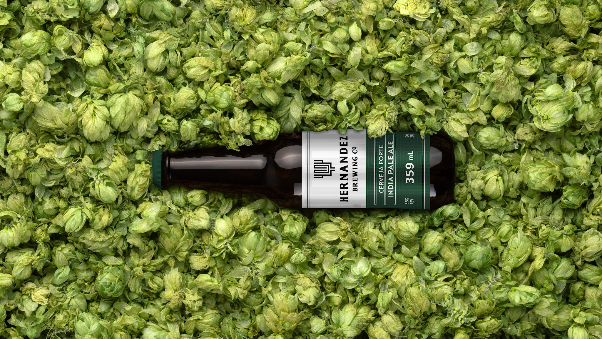 Hernandez 精釀啤酒包裝設(shè)計(圖4) Hernandez 精釀啤酒包裝設(shè)計(圖4)