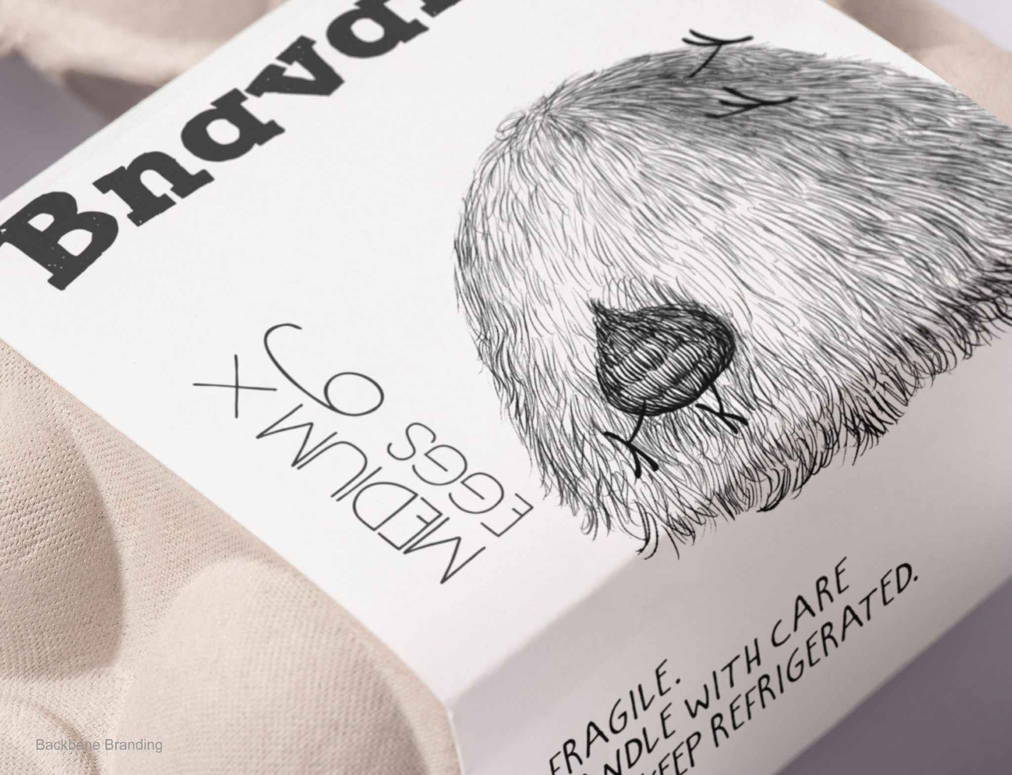 這款雞蛋的包裝非常值得借鑒(圖11) 這款雞蛋的包裝非常值得借鑒(圖11)