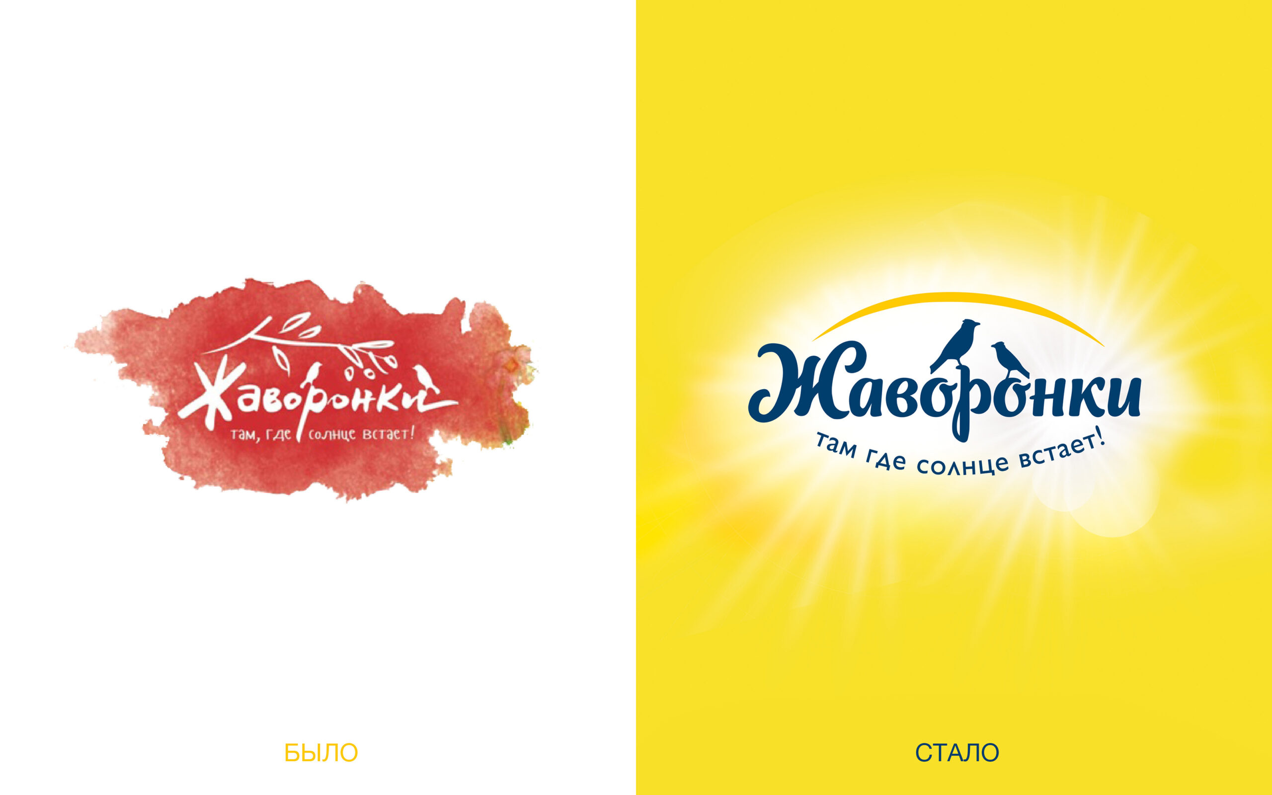 優(yōu)質(zhì)新鮮的盒裝奶酪包裝設(shè)計(jì)參考(圖5)