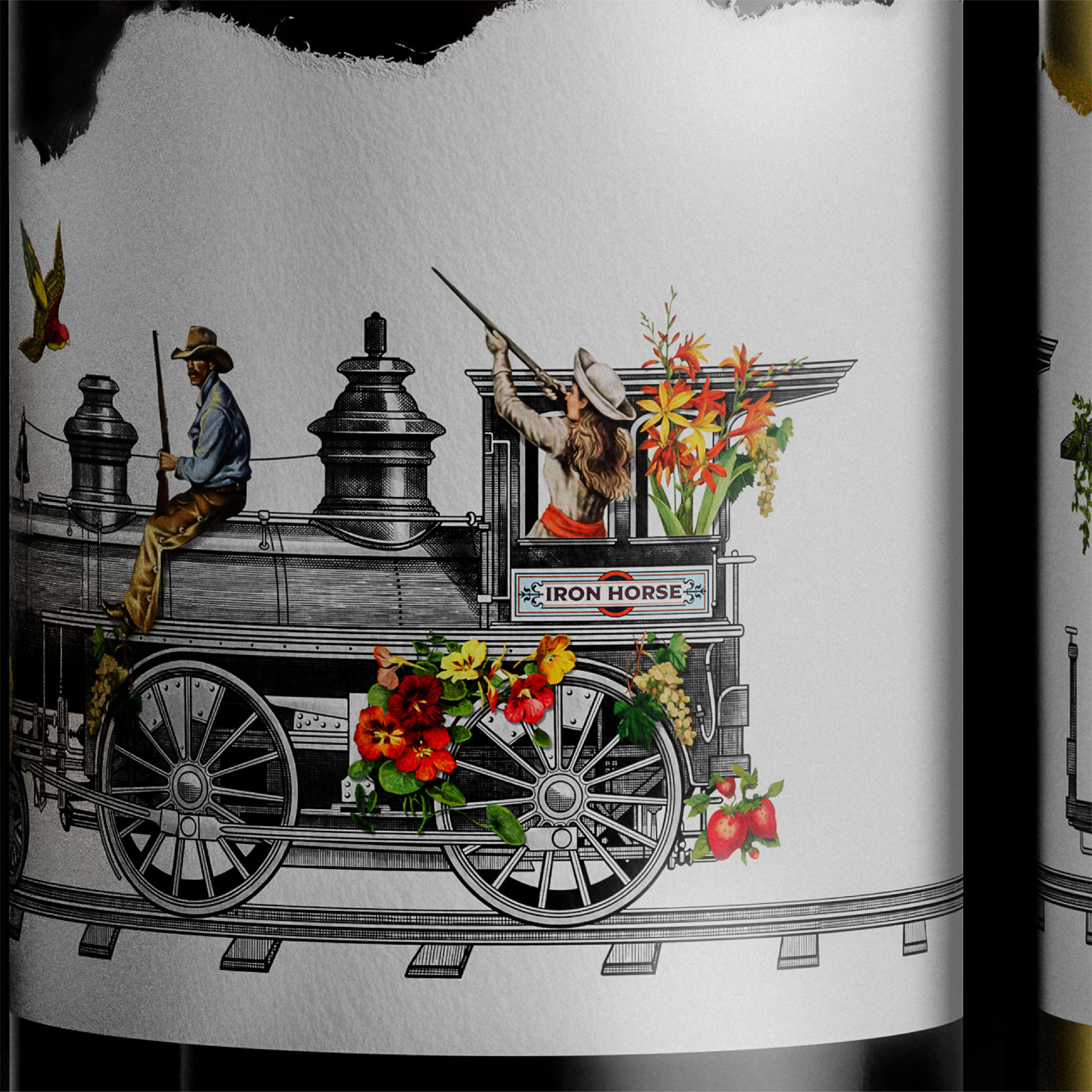 有故事的葡萄酒包裝設(shè)計(jì)(圖3)