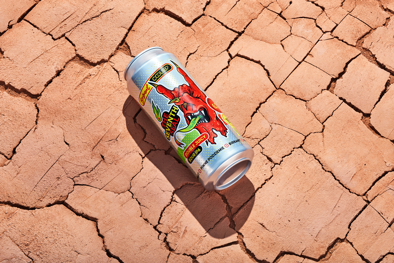 國外啤酒創(chuàng)意包裝設(shè)計參考(圖29)