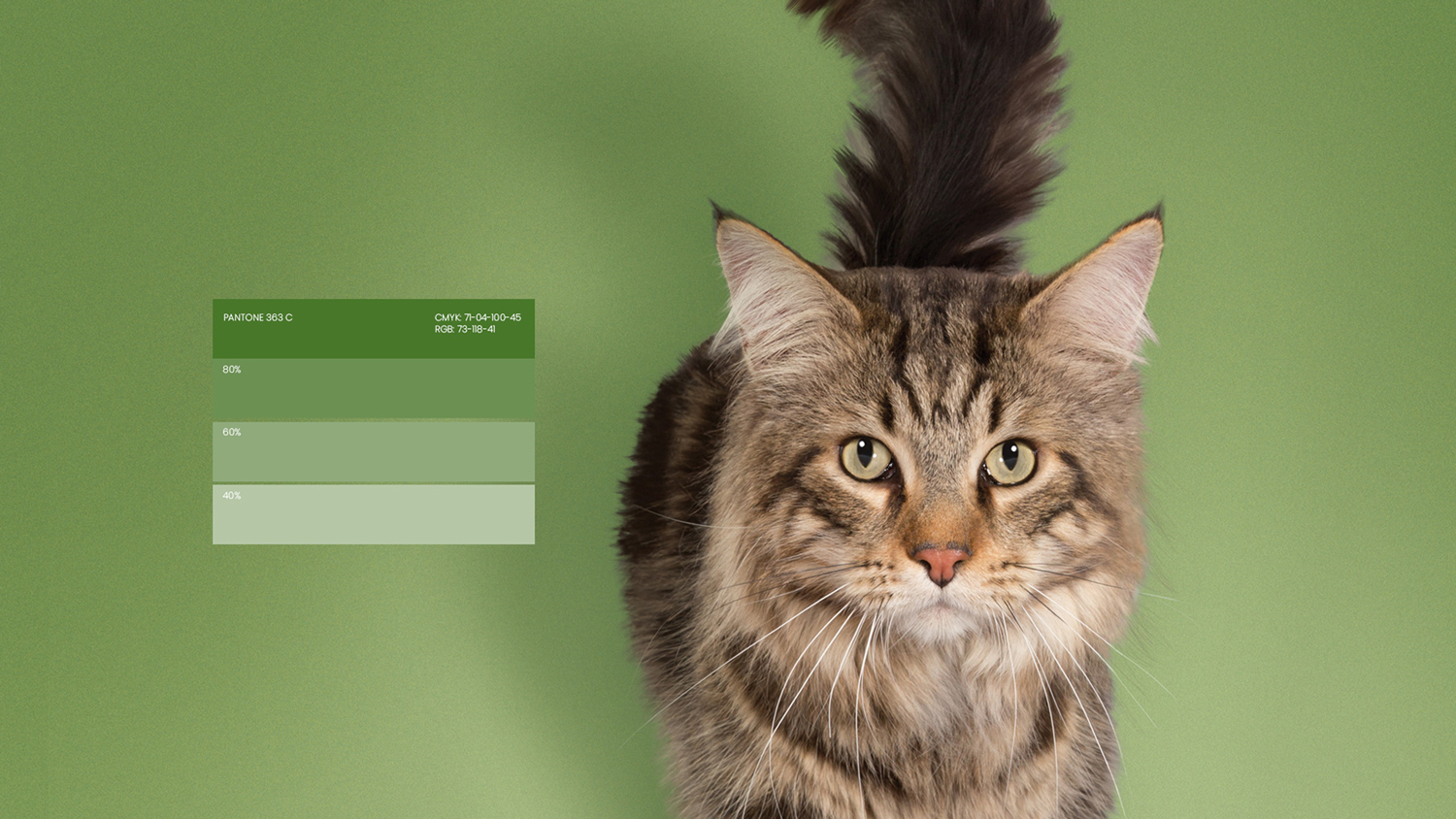 Ultima高端寵物包裝設計欣賞食品包裝這樣設計(圖3)