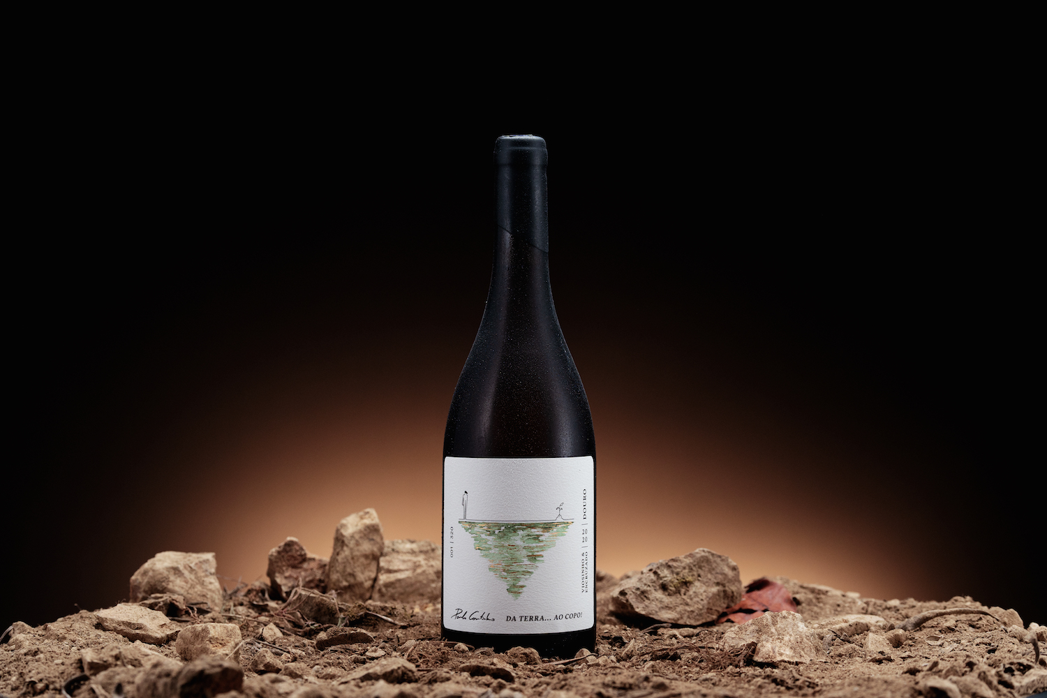 簡(jiǎn)約優(yōu)雅的葡萄酒包裝設(shè)計(jì)參考(圖3)