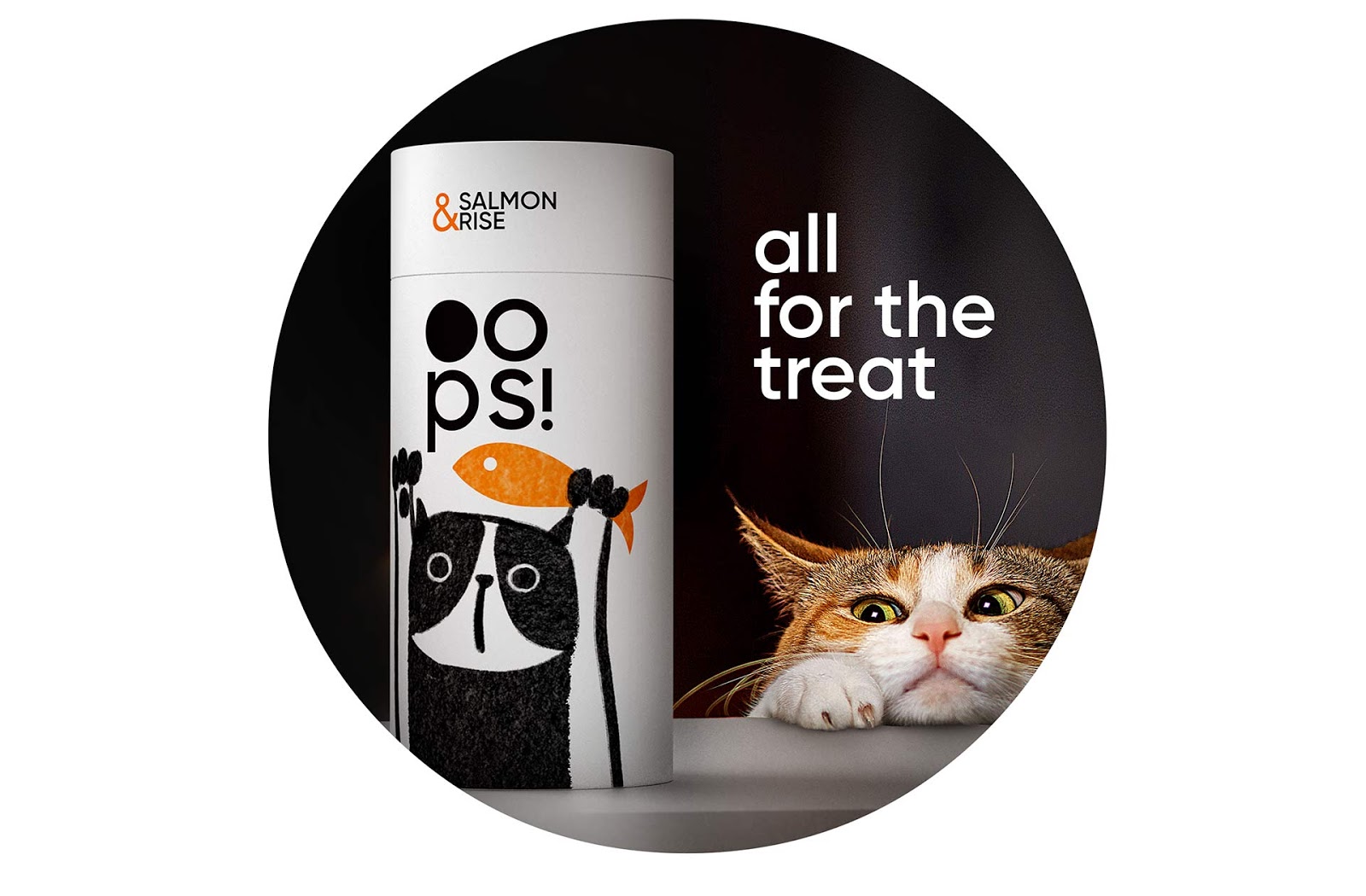 有創(chuàng)意的管狀寵物包裝設(shè)計(jì)欣賞食品包裝設(shè)計(jì)這樣做(圖2)