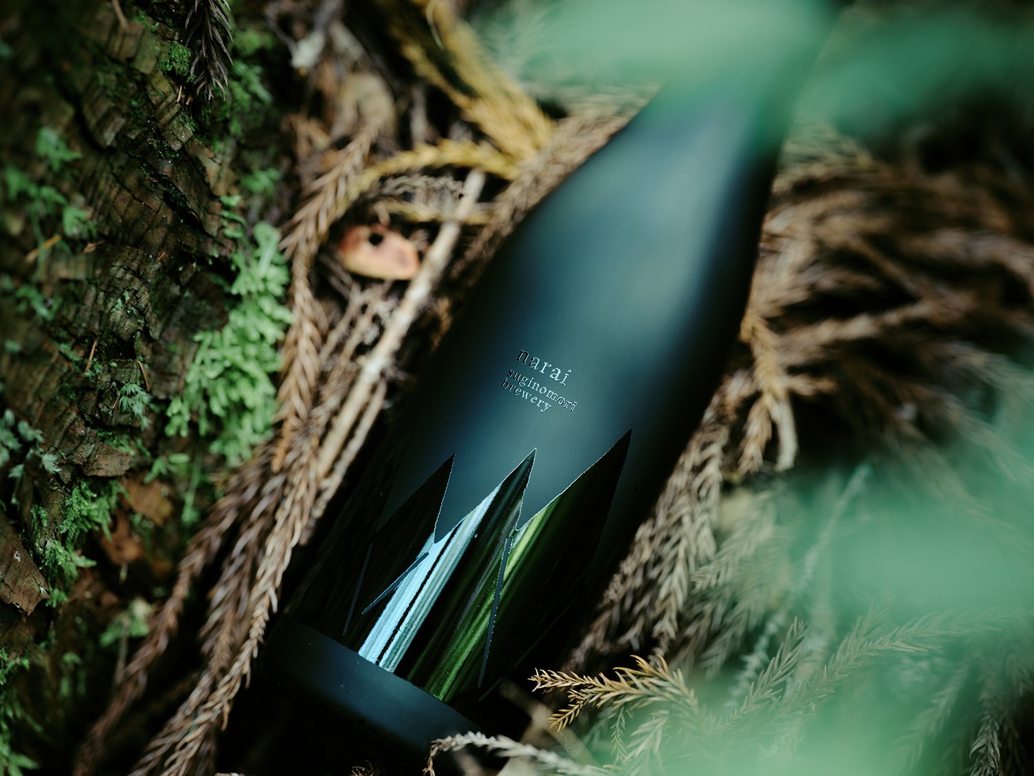 日本清酒創(chuàng)意包裝設(shè)計作品欣賞(圖4)