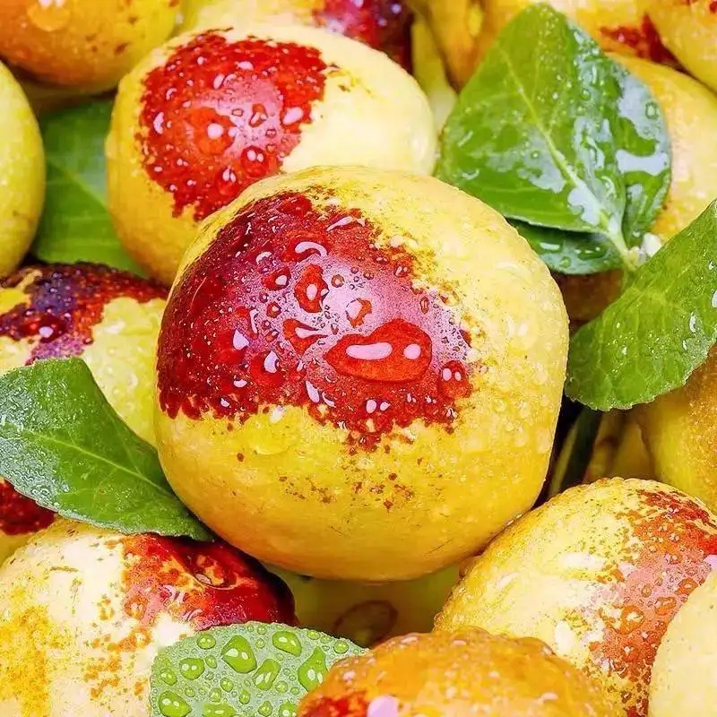 地方特產(chǎn)大荔冬棗包裝設(shè)計該怎么做(圖1)