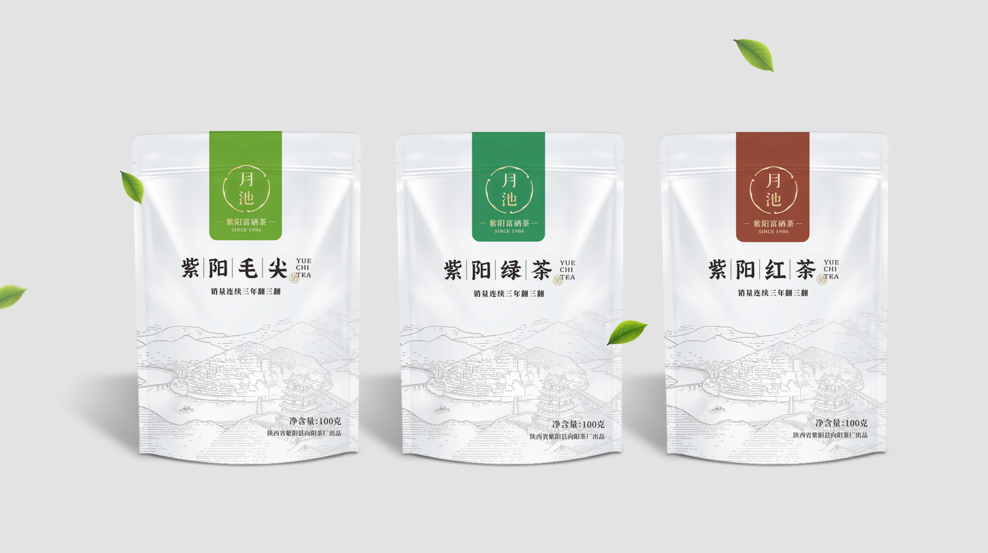 綠茶包裝袋設(shè)計(jì)圖片欣賞(圖1) 綠茶包裝袋設(shè)計(jì)圖片欣賞(圖1)