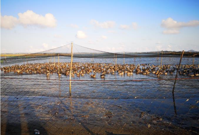 品牌三問(wèn)不明確，信息堆砌是包裝設(shè)計(jì)的大坑(圖1)