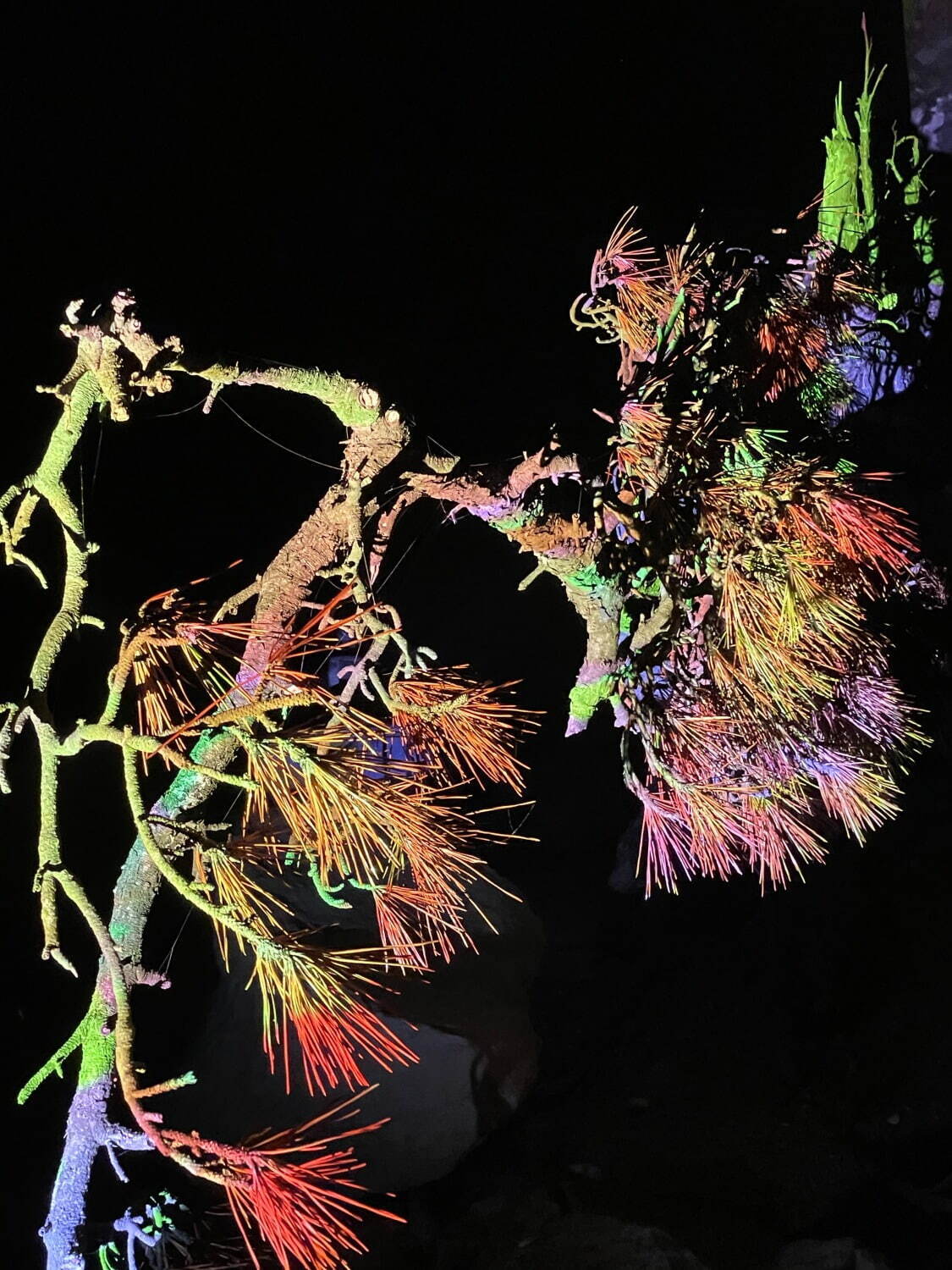 “限量護(hù)膚套裝”搭配 Yoshirotton 合作包(圖5) “限量護(hù)膚套裝”搭配 Yoshirotton 合作包(圖5)