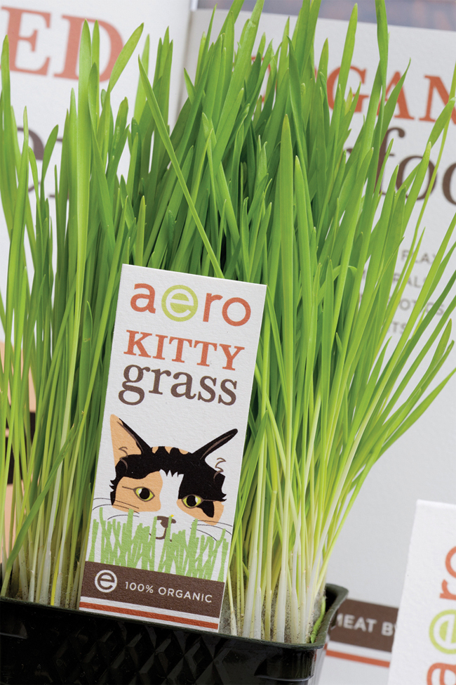 系列產(chǎn)品包裝設(shè)計(jì)參考(圖9) 系列產(chǎn)品包裝設(shè)計(jì)參考(圖9)