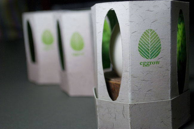 工藝品包裝設(shè)計(jì)(圖2) 工藝品包裝設(shè)計(jì)(圖2)