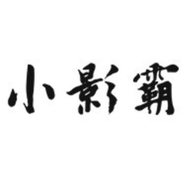 小影霸品牌logo設(shè)計(jì)欣賞與分析(圖1)