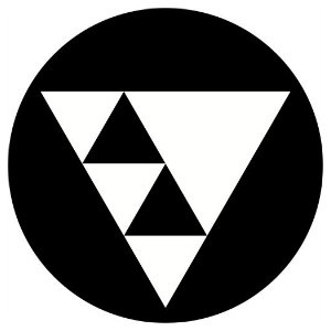 渡鴉品牌logo設(shè)計欣賞與分析(圖2)