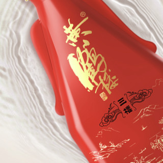 創(chuàng)意酒包裝設(shè)計(jì)三樓濃香型白酒單瓶裝產(chǎn)品包裝設(shè)計(jì)欣賞(圖6)