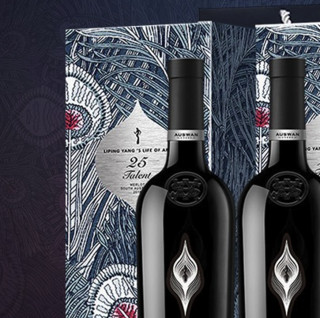 創(chuàng)意酒包裝設(shè)計天鵝莊天賦美樂干紅葡萄酒支禮盒裝產(chǎn)品包裝設(shè)計欣賞(圖6)