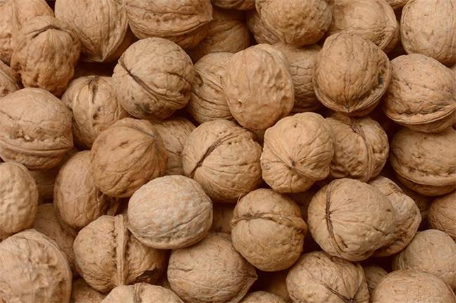 大金湖品牌logo與產(chǎn)品包裝設(shè)計(jì)欣賞(圖2)