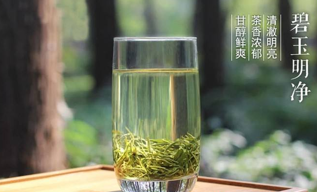 蘭嶺綠茶 蘭嶺品牌logo與產(chǎn)品包裝設(shè)計(jì)欣賞(圖4)