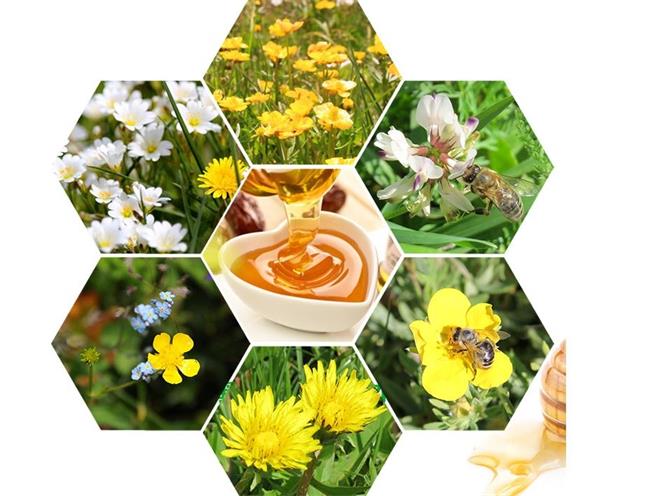 帝一純 帝一純品牌logo與產(chǎn)品包裝設(shè)計(jì)欣賞(圖4)