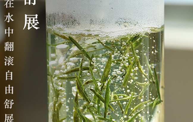 陽春白雪茶葉 陽春白雪品牌logo與食品包裝設(shè)計欣賞(圖4)