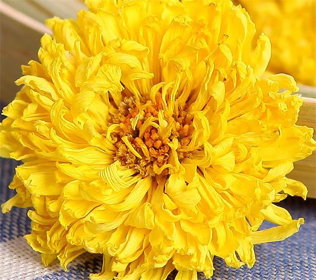 花依舊 花依舊品牌logo與食品包裝設(shè)計(jì)欣賞(圖4)