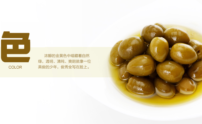 田園油橄欖品牌logo與食品包裝設(shè)計(jì)欣賞(圖2)