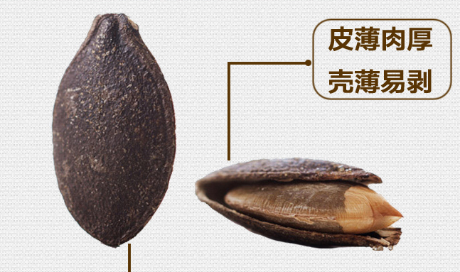 老閆家南瓜子 老閆家品牌logo與食品包裝設(shè)計(jì)欣賞(圖4)