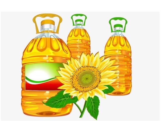 XH星河品牌logo與食品包裝設(shè)計欣賞(圖2)