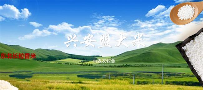 雨森品牌logo與食品包裝設(shè)計欣賞(圖2)