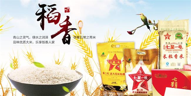 益華米業(yè)品牌logo與食品包裝設(shè)計欣賞(圖3)