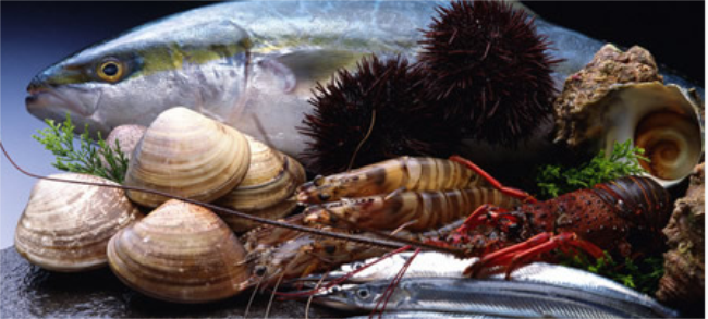 宇輝 宇輝品牌logo與食品包裝設(shè)計(jì)欣賞(圖2)