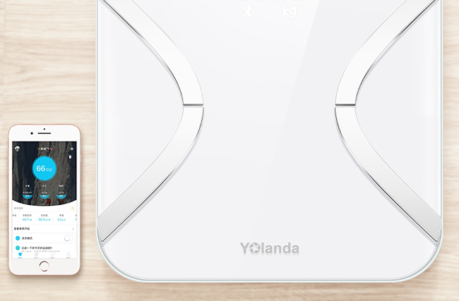 Yolanda云康寶品牌logo與食品包裝設(shè)計(jì)欣賞(圖2)